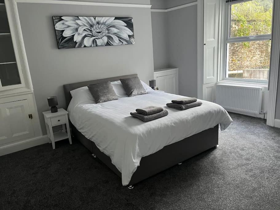 Large 1 Bedroom Flat With Private Parking Πλίμουθ Εξωτερικό φωτογραφία